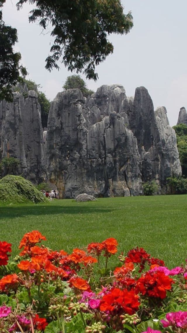 Xinglin Stone Forest