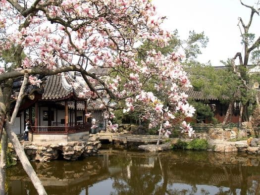 Master of the Nets Garden